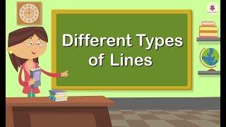 Different Types of Lines | Mathematics Grade 1 | Periwinkle