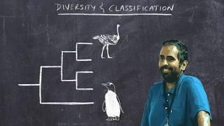 Basic Ornithology: Avian Diversity and Classification