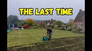 This is my LAST full lawn renovation of the year