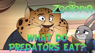 Zootopia Shots: What do Predators eat?