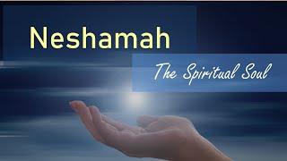 The Spiritual Soul: Neshama [The Three Levels of the Soul]