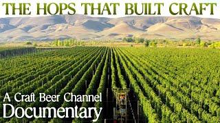 The hops that built craft beer – a documentary | The Craft Beer Channel