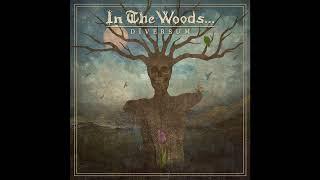 IN THE WOODS... - A WONDERFUL CRISIS (TRACK PREMIERE)