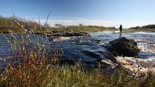 К заповедным рекам Терского берега на вездеходе-1