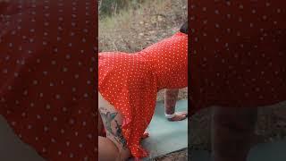 Evelina's yoga outdoors in a dress #yoga #stretching