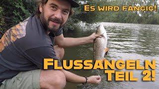 Karpfen im Fluss - Taktik, Technik, Talk - Teil 2