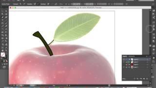 Adobe Phtoshop and Illustrator CC - Raster and Vector Images
