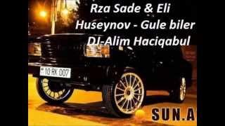 DJ-Alim Haciqabul Rza Sade & Eli Huseynov - Gule biler