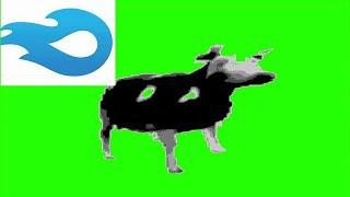 Polish cow green screen (free download Mediafire)