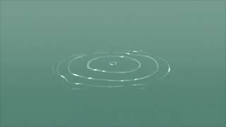 Water Ripples A | Animation | Experiment