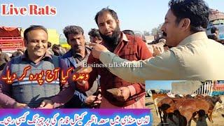 How to purchase Saad Azhar cattle farms in Luddan Market| Live Rats in Luddan Mandi|BTO