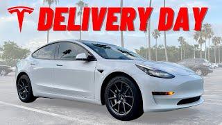 2021 Tesla Model 3 Standard Range Plus Delivery Day | Full Walk Around