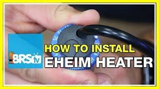 How to calibrate your Eheim Jager heater | BRStv How-To