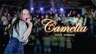 CAMELIA - TASYA ROSMALA ( GOPO MUSIC ) //ANNIVERSARY 1 DEKADE SNC INDONESIA