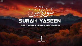 019 | Best Quran surah recitation of Surah Yasin (yaseen) full with arabic text | by Sheikh sudais