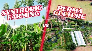 Syntropic Farming vs Permaculture