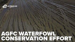 Arkansas Game and Fish Commission enlists farmers in waterfowl habitat conservation effort