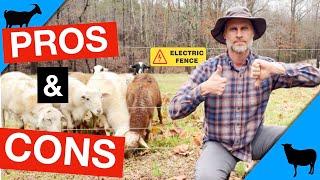 Electric Fence 101: Pros/Cons and Essentials