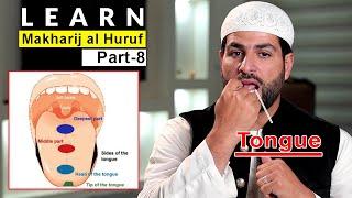 Articulation Points of Arabic Letters | Learn Makharij al Huruf with Shaykh Ismail Al-Qadi | Part 8