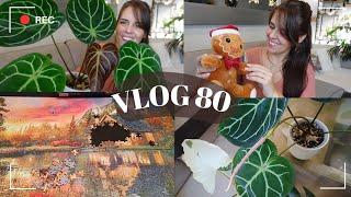 Nouveaux anthuriums et haul déco | VLOG80 |