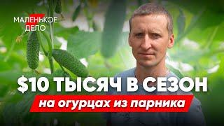 Живет в теплице и выращивает огурцы