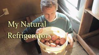 NATURAL REFRIGERATOR | The Root Cellar in My Floor