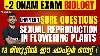 Plus Two Biology | Chapter 1 - Sexual Reproduction in Flowering Plants | Sure Questions