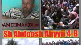 Sh Abdoosh Aliyyii 3-B Nashiidaa bareedduu tana dhageeyfadhaa