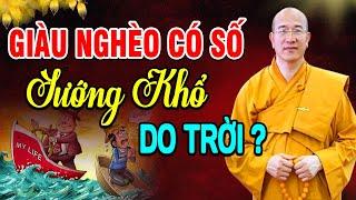 Giàu Nghèo có Số, Sướng Khổ do Trời hay do con người lựa chọn - Thầy Thích Trúc Thái Minh