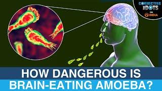 Brain-Eating Amoeba Cases in Kerala: How Deadly Is the Infection? | Connecting The Dots