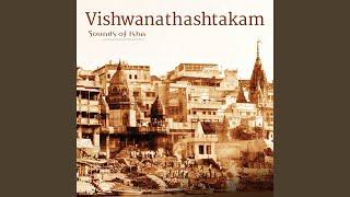 Vishwanathashtakam