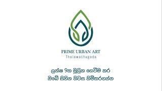 Luxury Houses in between Thalwathugoda and Kottawa | Prime Urban Art