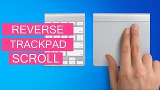 How To Reverse Touchpad Scrolling In Windows 10 Bootcamp OS