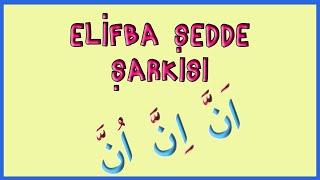 Elif Ba Şedde Şarkısı | Elifba şedde öğreniyorum | Şedde Alıştırmaları | Didiyom Tv