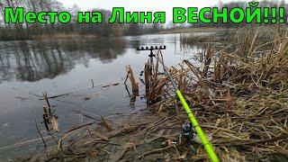 Моё место для ловли линя весной. Рыбалка на линя обзор места