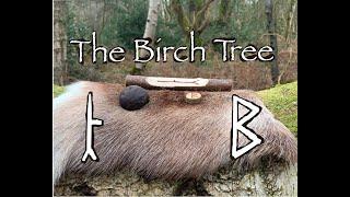 Birch. Folklore, Mythology and Symbolism of the Birch Tree.
