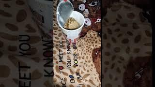 First vlog//Trying cup noodles for first time// tanvi Singh// smile with tanvi ##