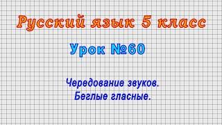 Русский язык 5 класс (Урок№60 - Чередование звуков. Беглые гласные.)