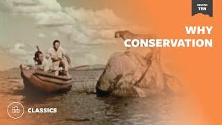 Why Conservation  | Mutual of Omaha's Wild Kingdom