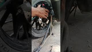 Mekanik panggilan lombok sedang live sekarang!bongkar pasang roda motor honda CBR #mechanic #honda