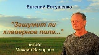 Михаил Задорнов читает стихотворение "Зашумит ли клеверное поле..."