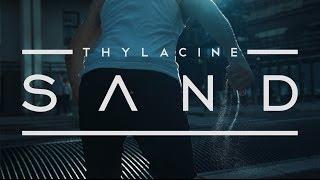 THYLACINE - Sand (Official Video)