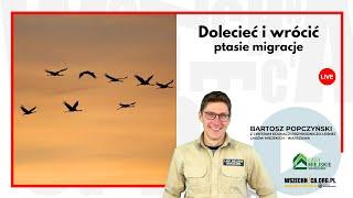 Dolecieć i wrócić – ptasie migracje / Bartosz Popczyński