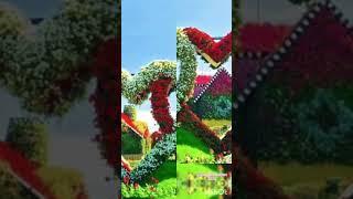 Flowers #viral #youtubeshorts #music #song #hindisong #love #dream #gulab #status #bollywood