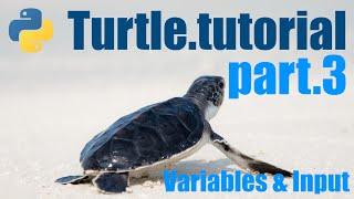 Python Turtle Tutorial - Lesson 3 - Variables & Input