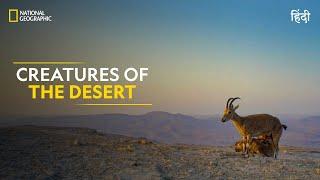 Creatures of the Desert | Hostile Planet | Full Episode | S1-E4 | National Geographic