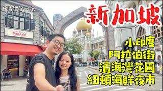 新加坡六日五夜 part 3｜印度氣息滿滿的小印度｜異國風情阿拉伯小區｜濱海灣花園，勇闖雲霧林 天幕溫室 ｜在地人推介紐頓夜市熟食中心 ｜