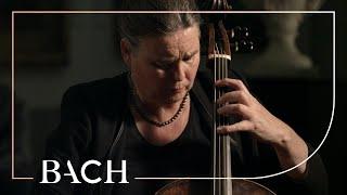Bach - Cello Suite no. 1 in G major BWV 1007 - Swarts | Netherlands Bach Society