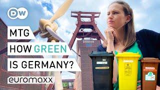 How Green Is Germany? Cars, Recycling And The Environment | Meet the Germans