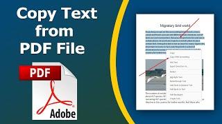 How to copy text from a PDF document without Losing Formatting using adobe acrobat pro dc
